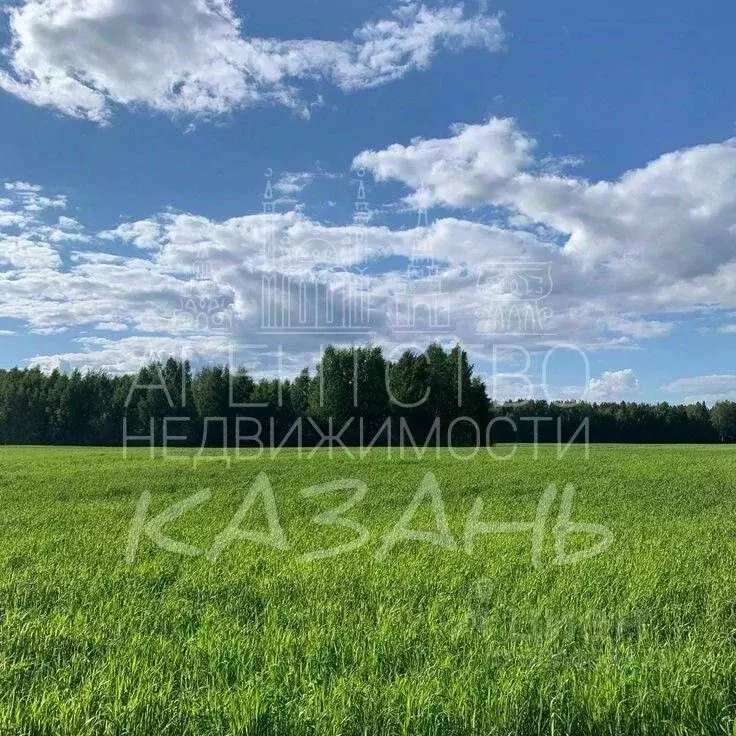 Участок в Татарстан, Лаишевский район, с. Татарские Саралы ... - Фото 0