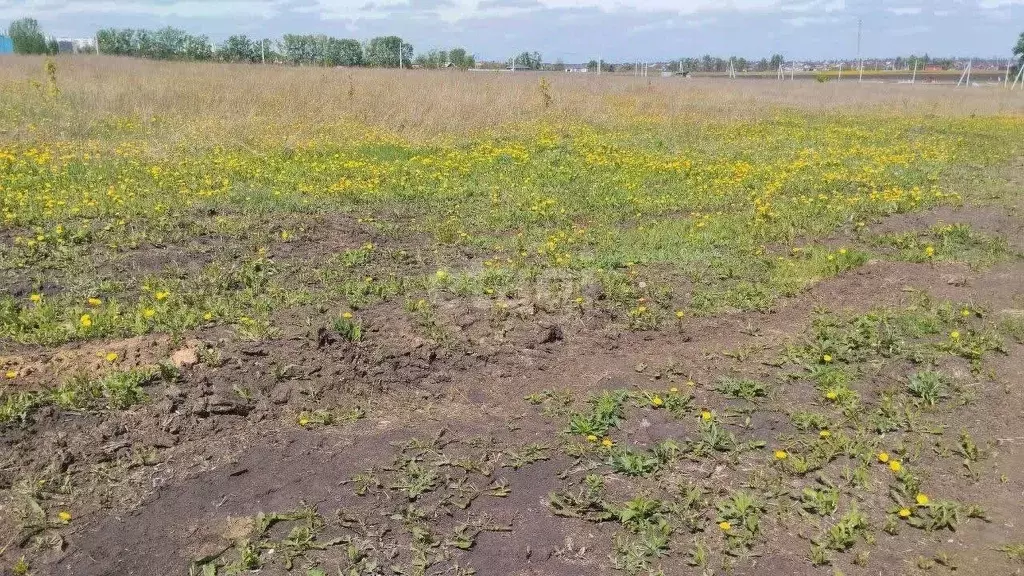 Участок в Белгородская область, Белгородский район, Дубовское с/пос, ... - Фото 0