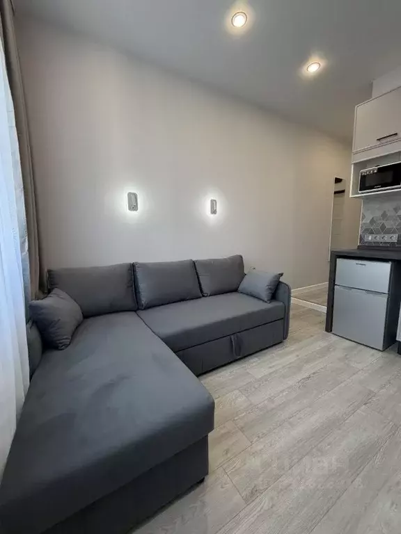 Студия Москва Березовая аллея, 19к4 (16.0 м) - Фото 1
