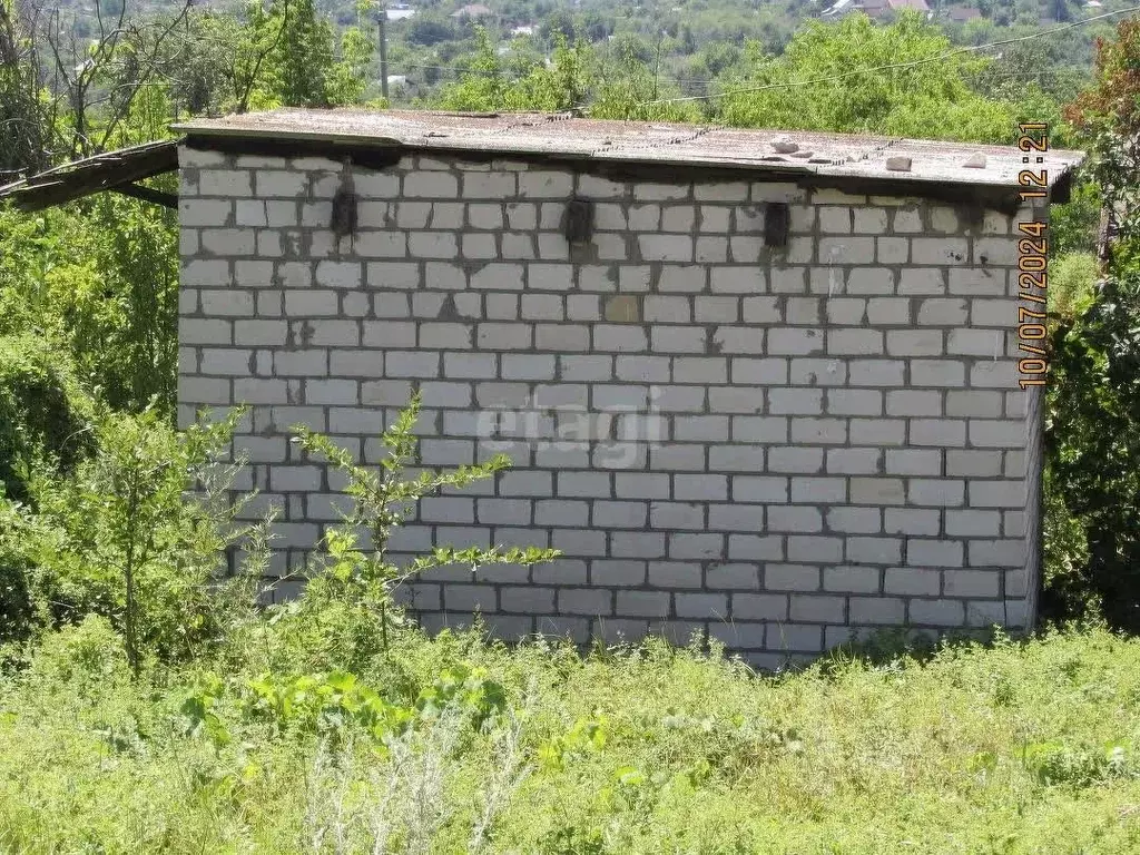 Участок в Волгоградская область, Волгоград Мичуринец СНТ, 74 (15.0 ... - Фото 1