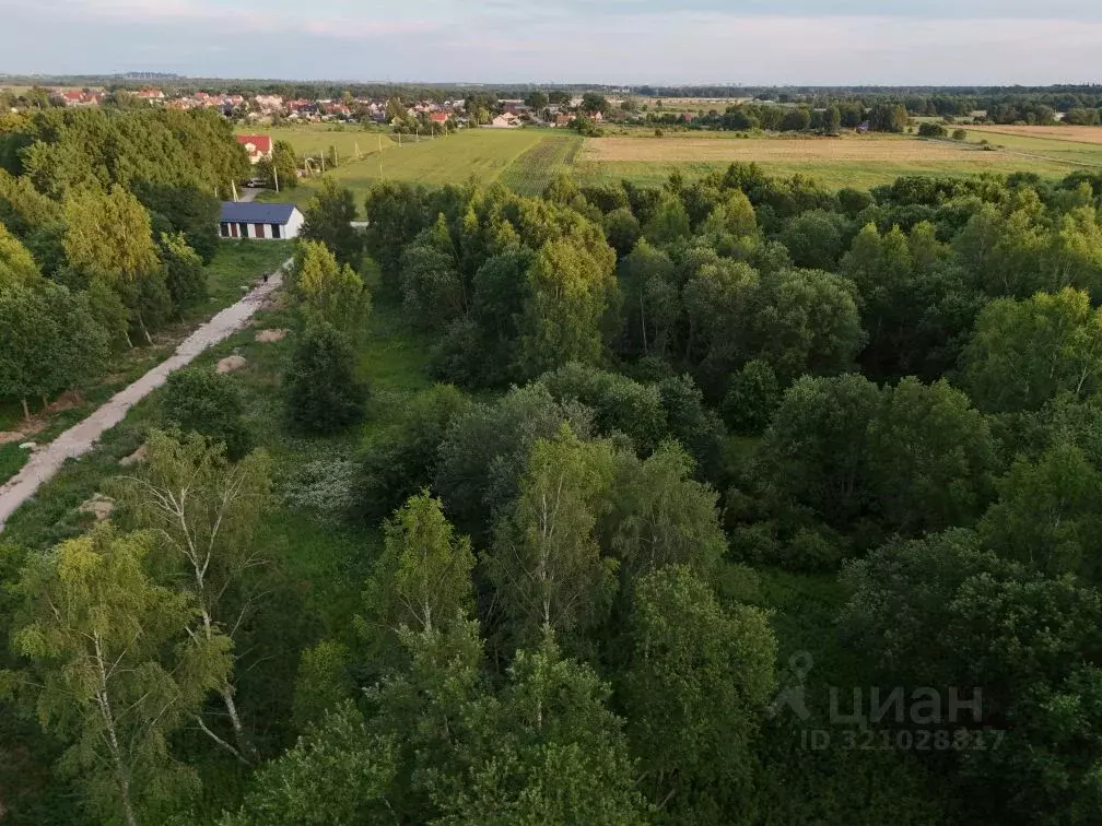 Участок в Калининградская область, Гурьевский муниципальный округ, ... - Фото 0