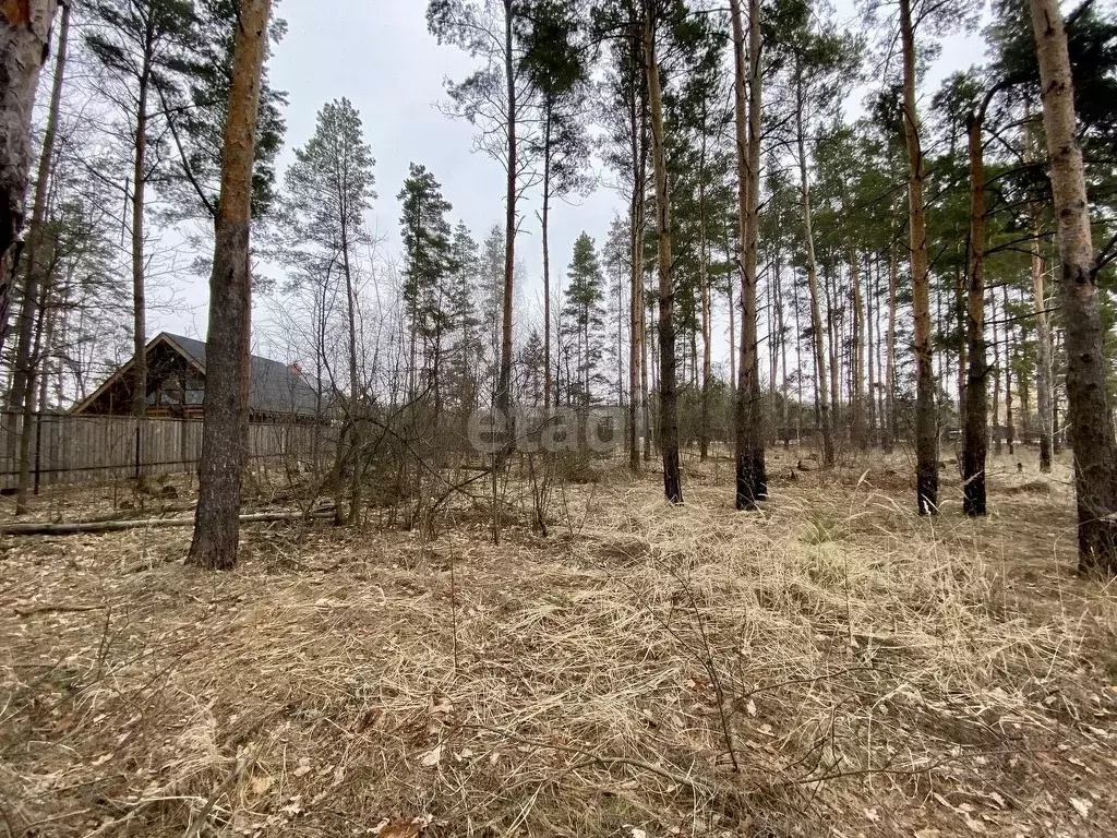 Участок в Тамбовская область, Тамбовский муниципальный округ, с. ... - Фото 0