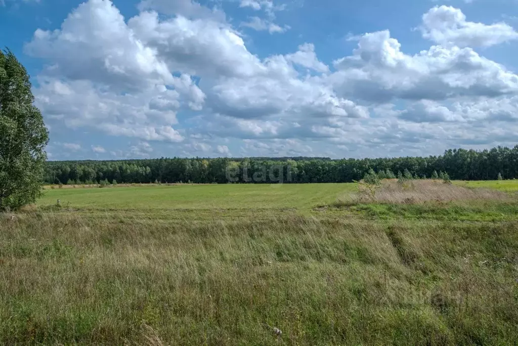 Участок в Чувашия, Моргаушский муниципальный округ, с. Ильинка  (58.0 ... - Фото 1