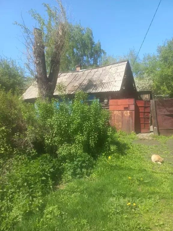 Дом в Новосибирская область, Новосибирск ул. Романова, 93А (27 м) - Фото 1