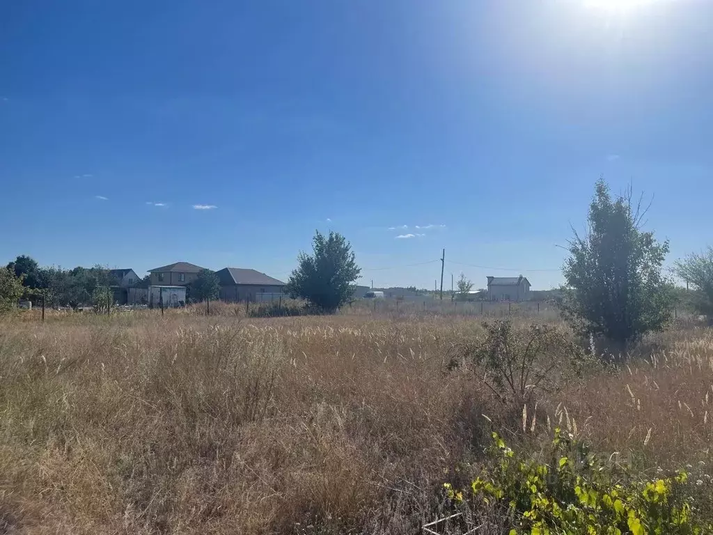 Участок в Волгоградская область, Среднеахтубинский район, Фрунзенское ... - Фото 2