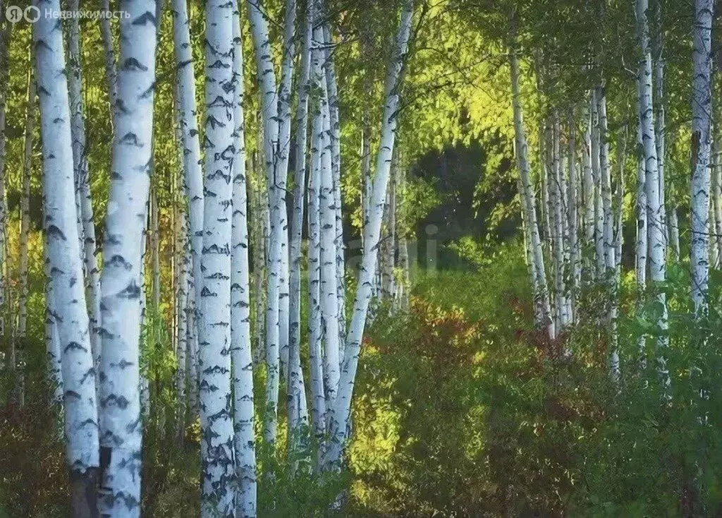 Участок в село Рождествено, Садовая улица (14.16 м) - Фото 1