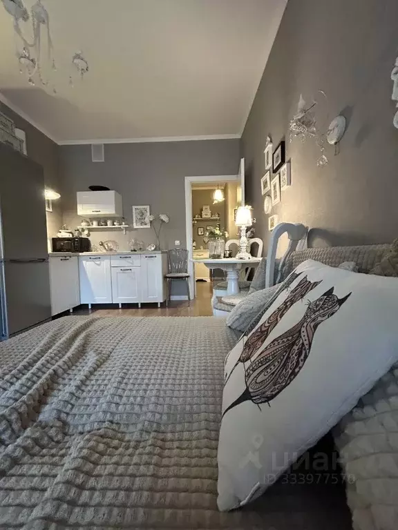 Студия Санкт-Петербург ул. Грибалевой, 9к1 (24.1 м) - Фото 1