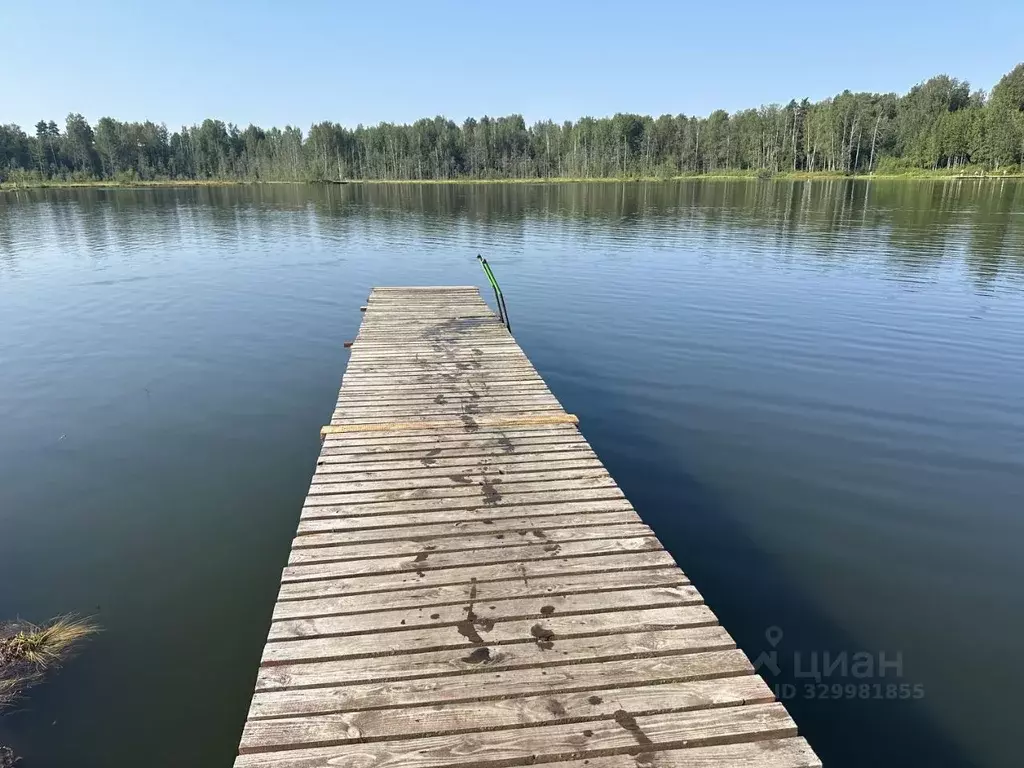 Участок в Ленинградская область, Всеволожский район, Куйвозовское ... - Фото 2