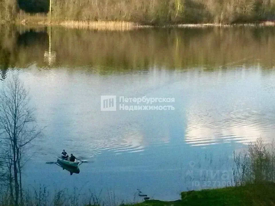 Участок в Новгородская область, Валдайский район, Рощинское с/пос, д. ... - Фото 1