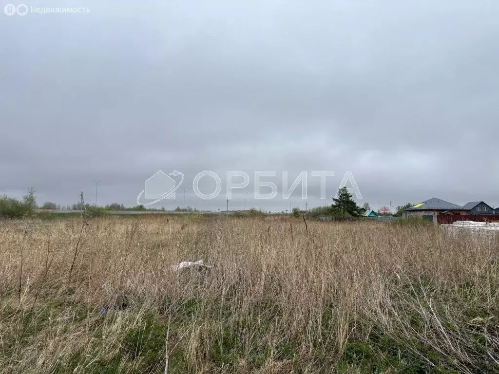 Участок в Тюмень, садовое товарищество Рябинка-2 (8 м) - Фото 1