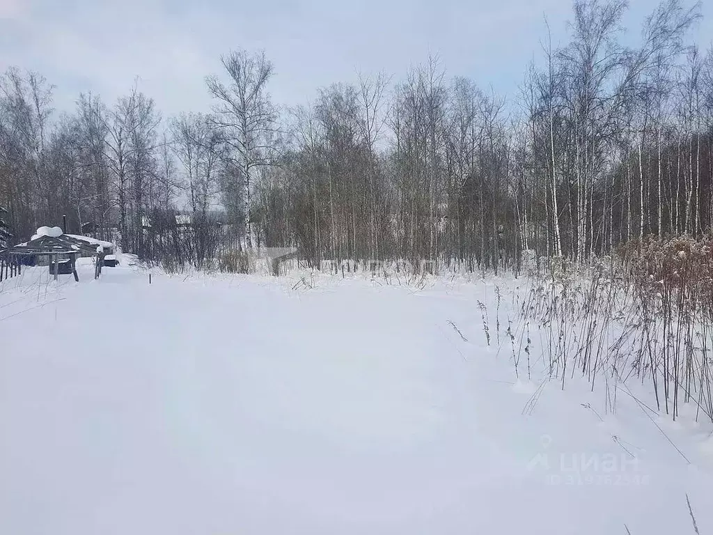Участок в Новосибирская область, Новосибирский район, Барышевский ... - Фото 0