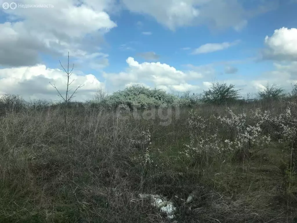 Участок в Ставрополь, садовое товарищество Вольница-2 (6 м) - Фото 0