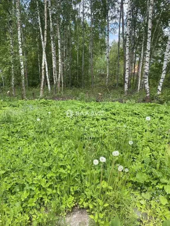 Участок в Ленинградская область, Киришский район, Кусинское с/пос, ... - Фото 2