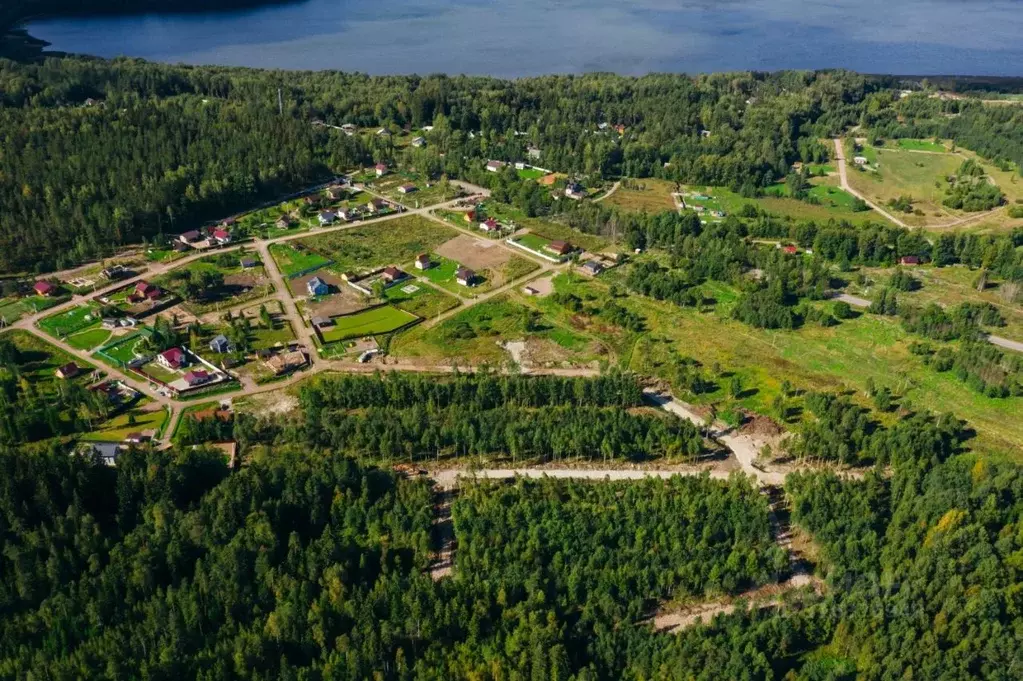 Участок в Ленинградская область, Выборгский район, Приморское ... - Фото 1