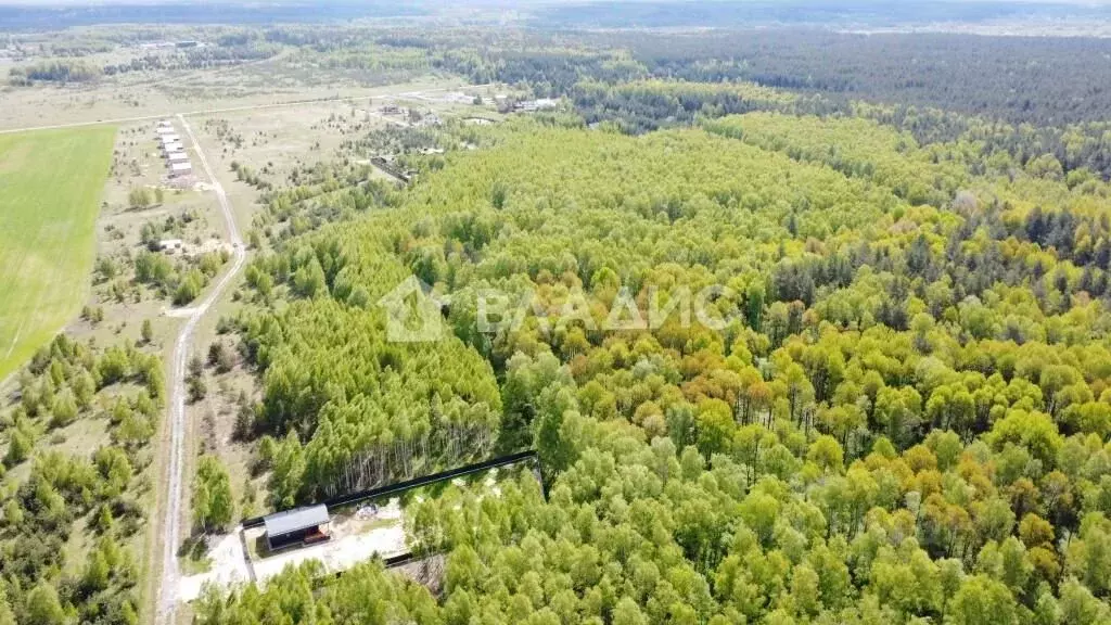 Участок в Владимирская область, Камешковский район, Пенкинское ... - Фото 1