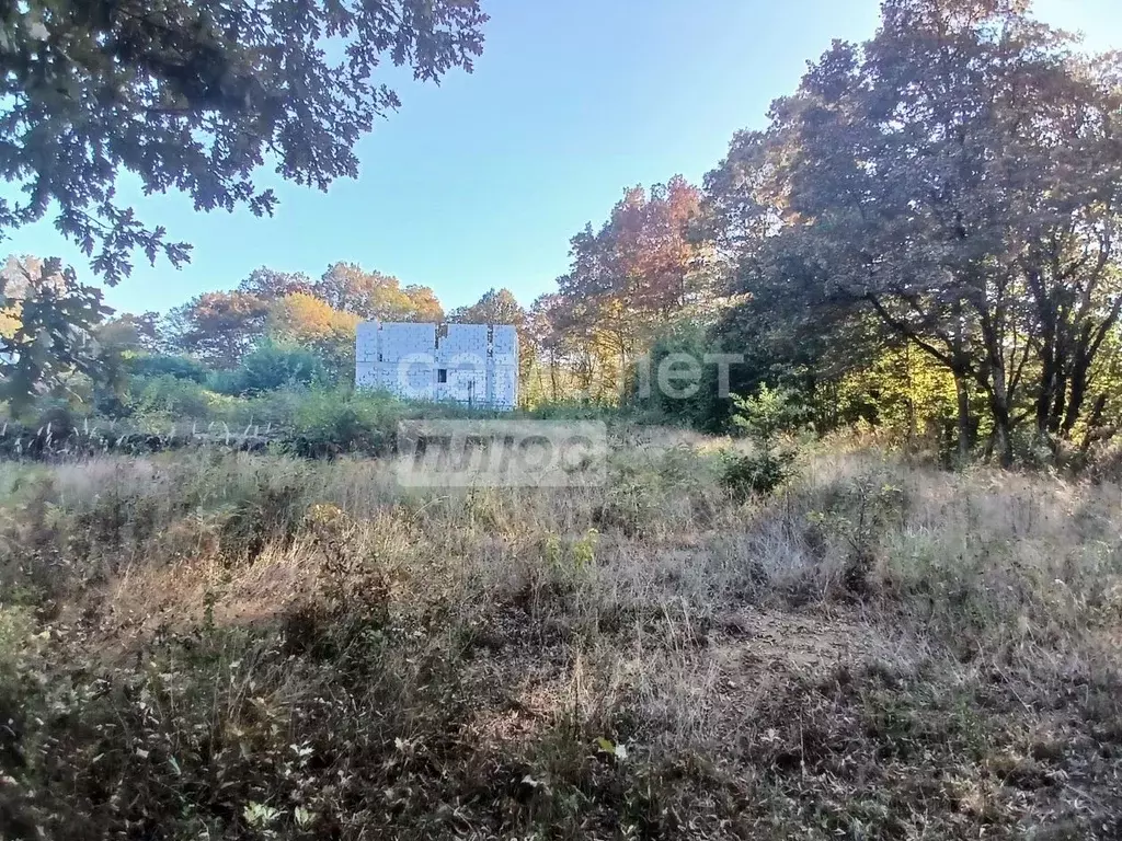 Участок в Краснодарский край, Туапсинский муниципальный округ, с. ... - Фото 2