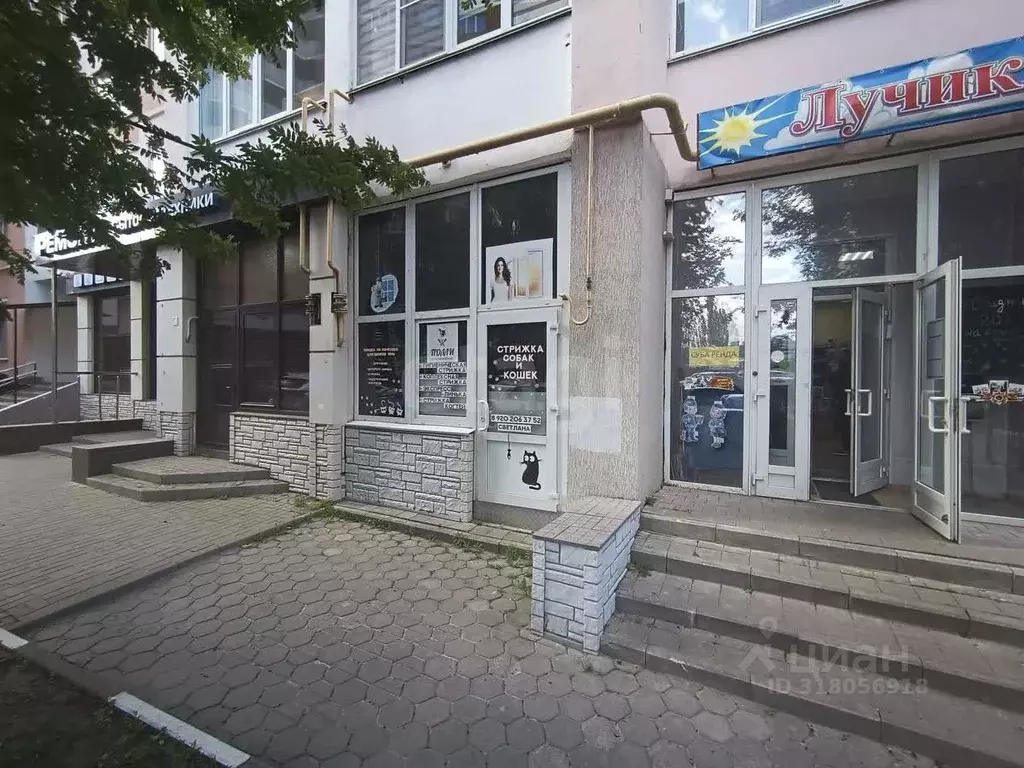 Торговая площадь в Белгородская область, Белгород ул. Щорса, 57 (82 м) - Фото 1