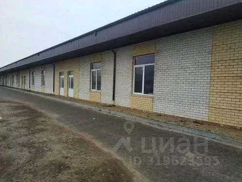 Помещение свободного назначения в Краснодарский край, Ейск Киевская ... - Фото 0