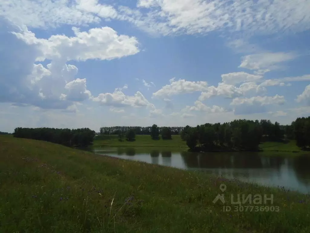 Участок в Новосибирская область, Искитимский район, Улыбинский ... - Фото 1