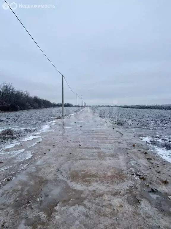 Участок в Мясниковский район, Краснокрымское сельское поселение, село ... - Фото 0