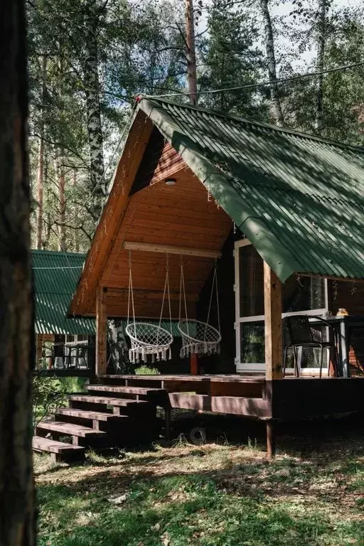 Дом в Алтай, Майминский район Р-256 Чуйский тракт, 469-й км, 1 (18 м) - Фото 1