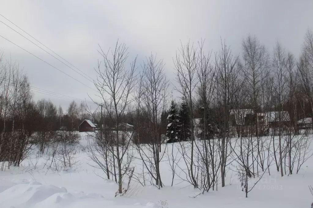 Участок в Московская область, Шаховская муниципальный округ, с. Середа ... - Фото 1