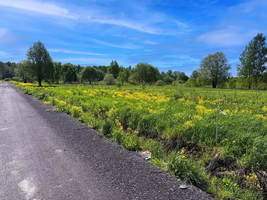 Участок в Московская область, Клин городской округ, Коськово кп 256 ... - Фото 2