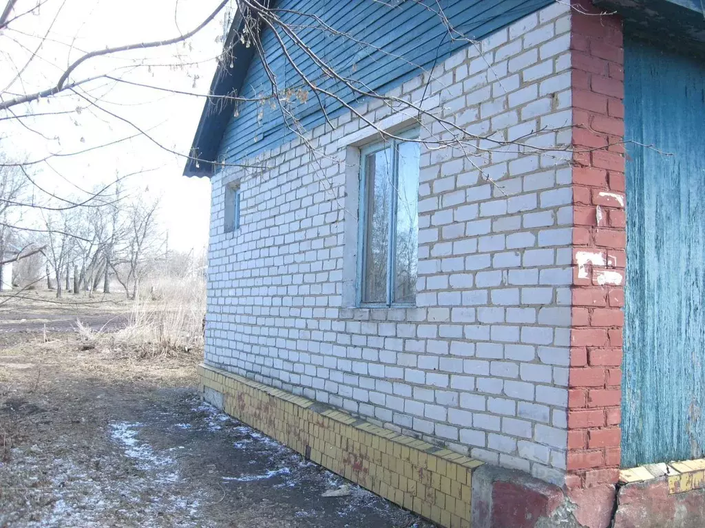 Помещение свободного назначения в Рязанская область, Скопинский район, ... - Фото 1