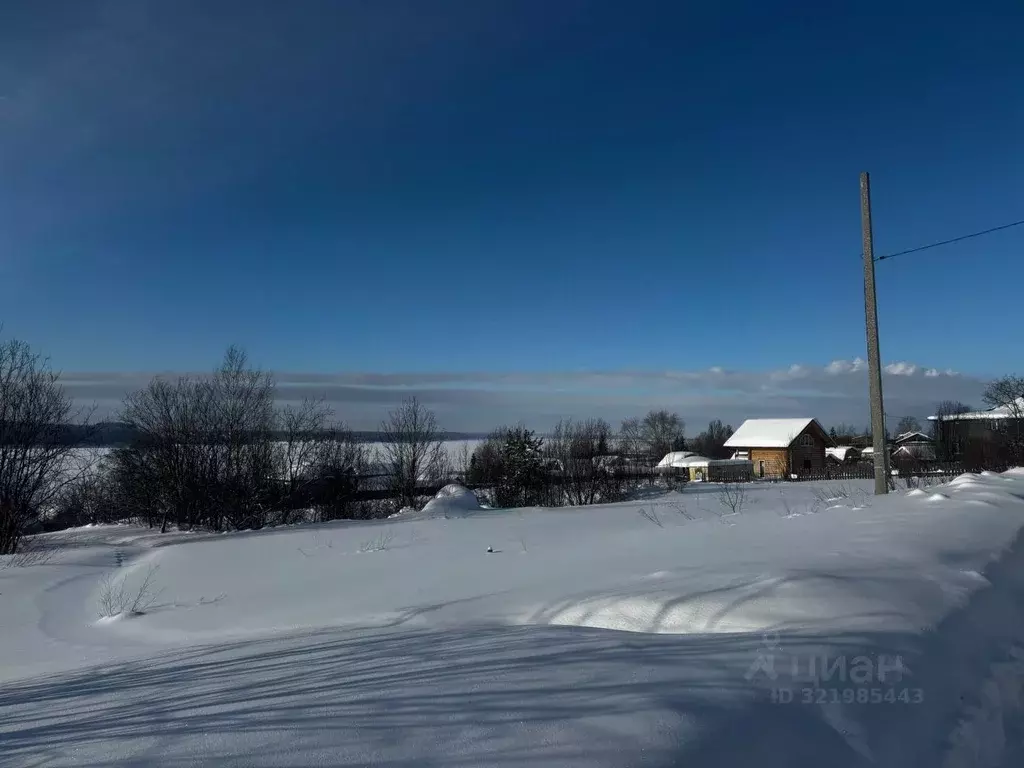 Участок в Пермский край, Добрянка Родниковая ул., 10/1 (16.0 сот.) - Фото 1