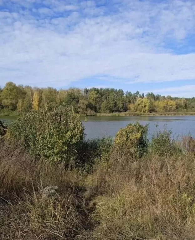 Участок в Воронежская область, Воронеж ул. Большая Советская, 2Б (12.0 ... - Фото 0