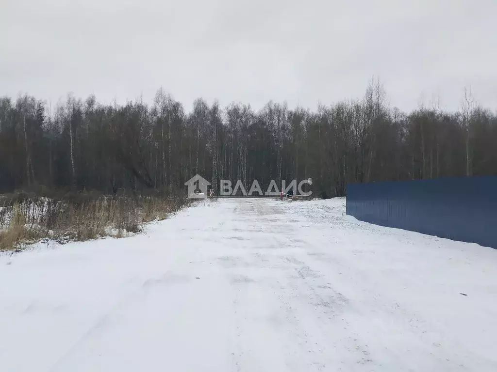 Участок в Нижегородская область, с. Безводное ул. Научная, 79 (10.0 ... - Фото 1