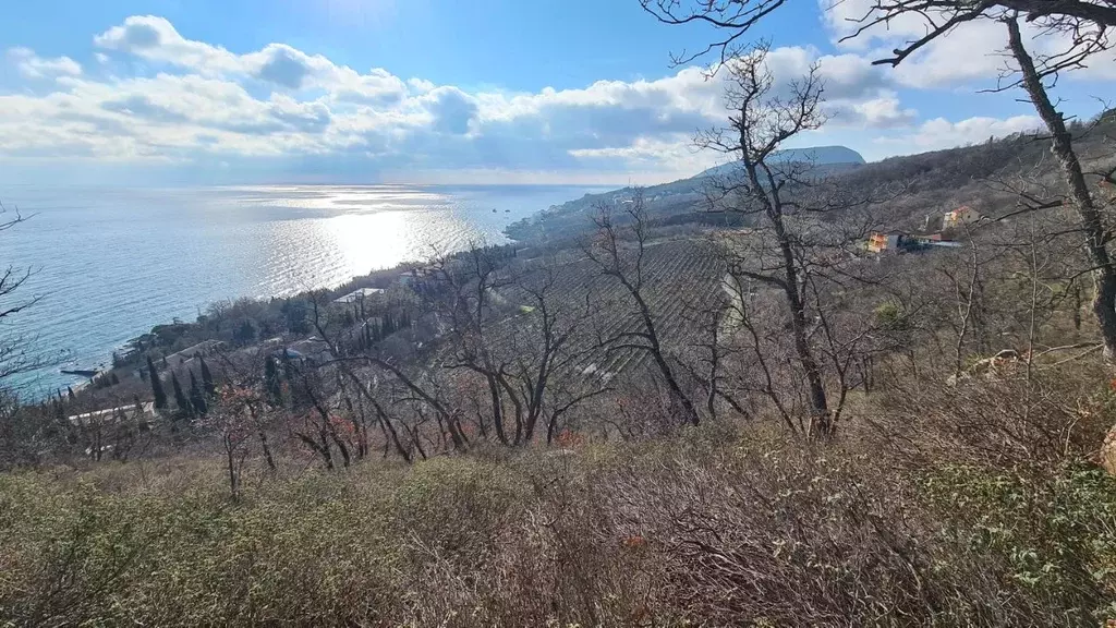 Участок в Крым, Алушта муниципальный округ, с. Малый Маяк ул. Морская ... - Фото 0