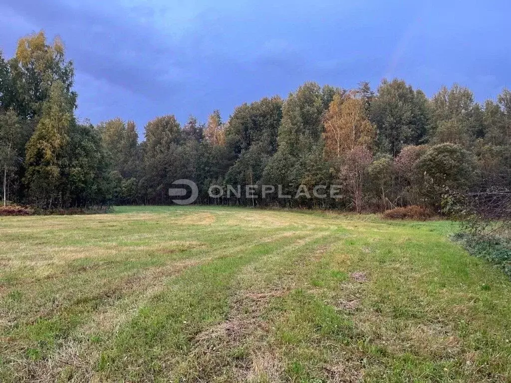 Участок в Ленинградская область, Приозерский район, Мельниковское ... - Фото 0