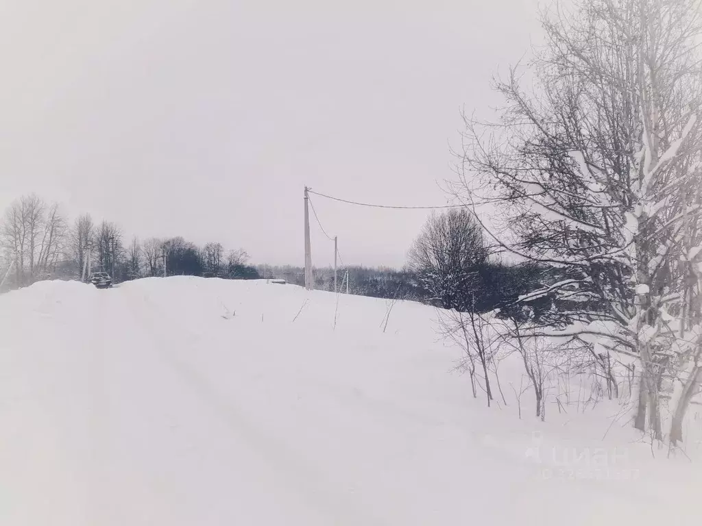 Участок в Новгородская область, Валдайский район, Короцкое с/пос, пос. ... - Фото 2