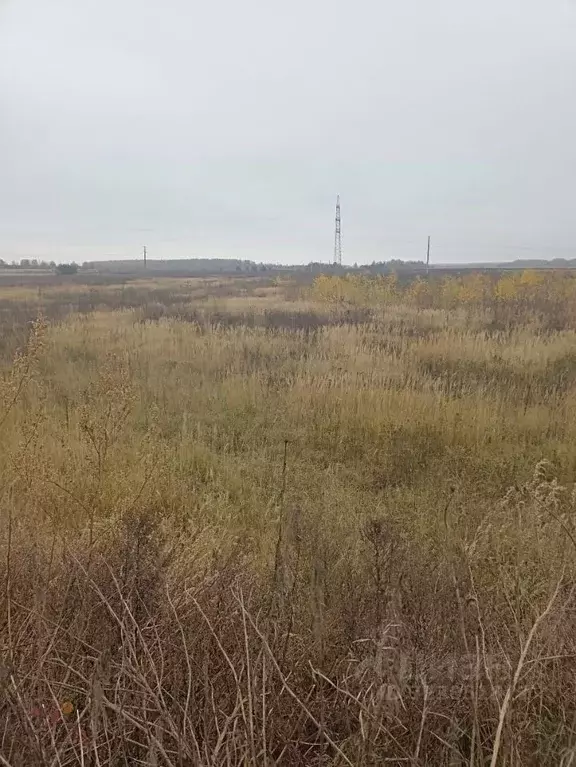 Участок в Московская область, Клин городской округ, Деревня сл.  ... - Фото 2