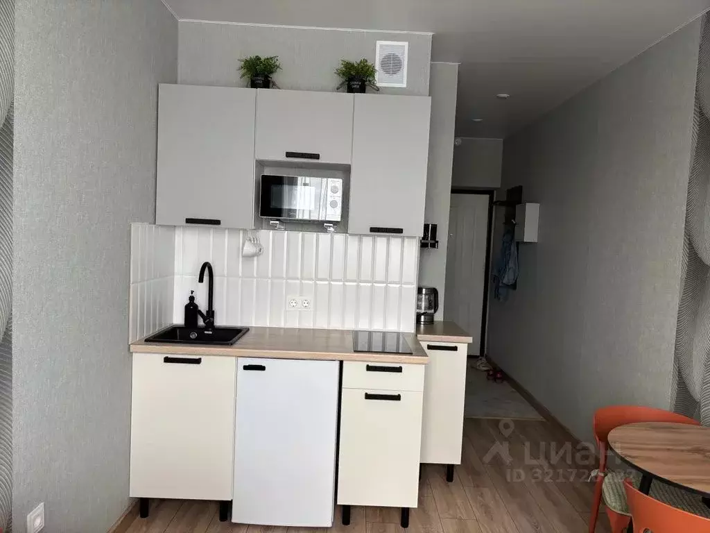 Студия Башкортостан, Уфимский район, с. Михайловка Новоуфимская ул., ... - Фото 2