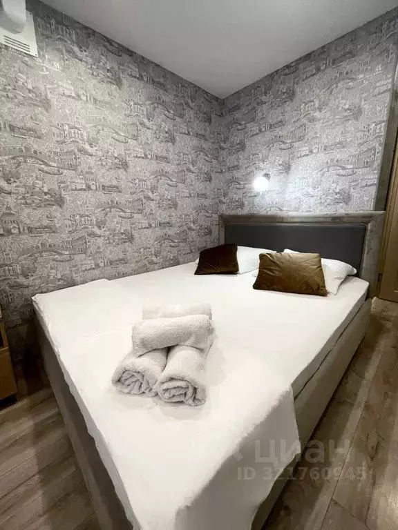 Студия Ставропольский край, Пятигорск Кузнечная ул., 8А (25.0 м) - Фото 1