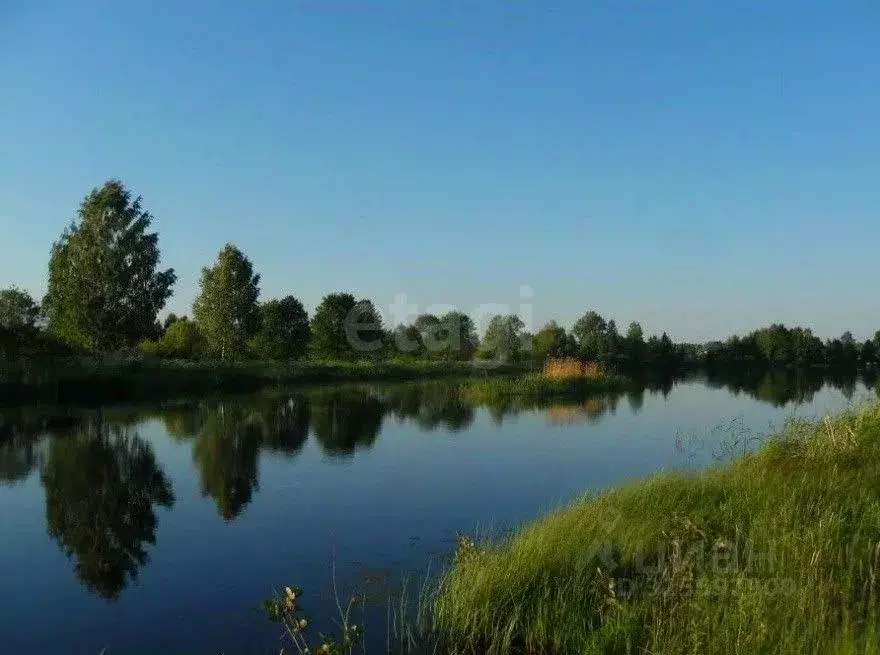 Участок в Нижегородская область, Городецкий муниципальный округ, д. ... - Фото 2