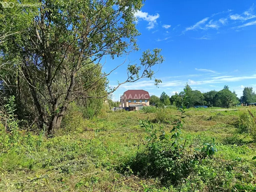 Участок в Московская область, Раменский муниципальный округ, село ... - Фото 2