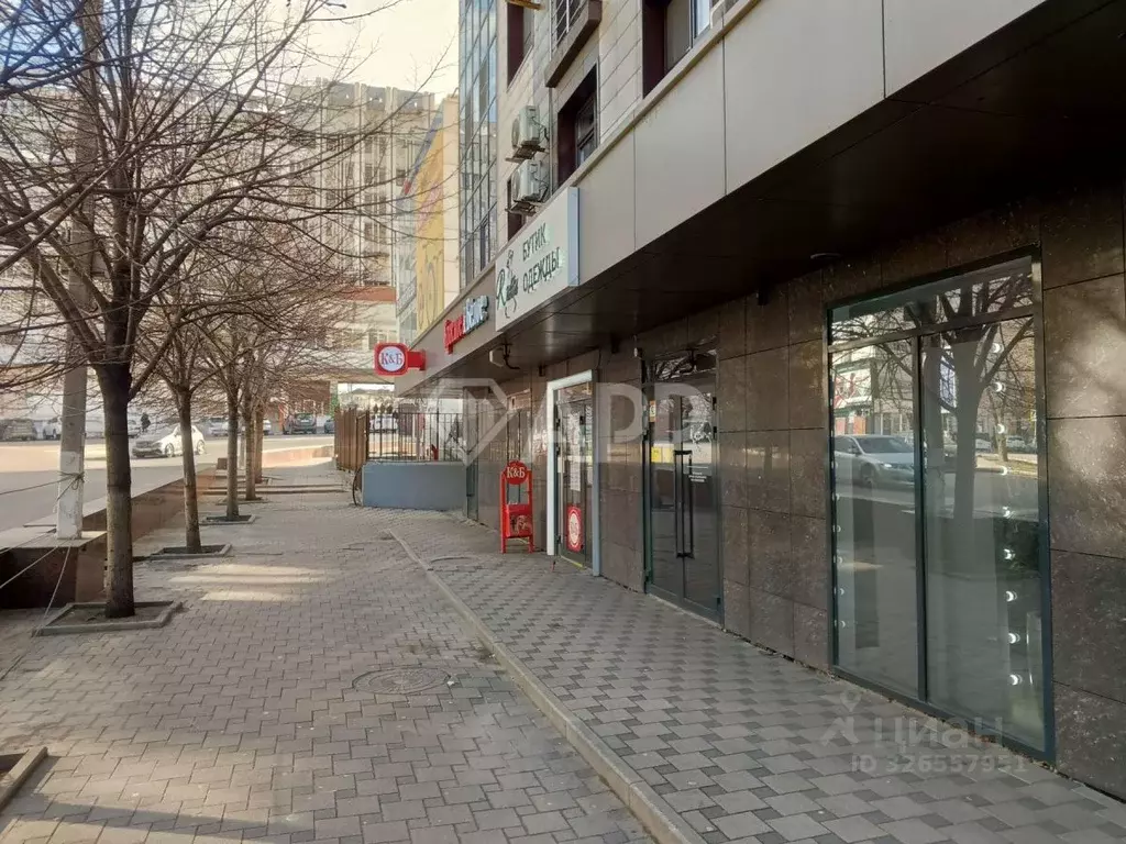 Помещение свободного назначения в Краснодарский край, Новороссийск ул. ... - Фото 2