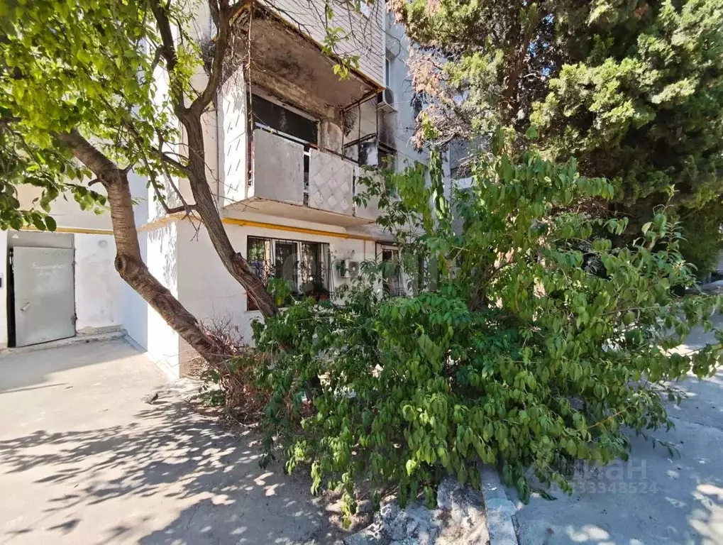 1-к кв. Севастополь просп. Генерала Острякова, 172 (23.3 м) - Фото 1