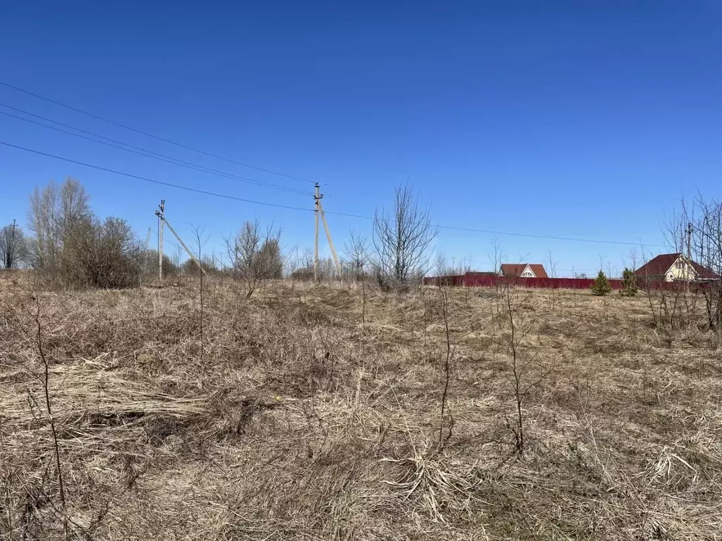 Участок в Ярославская область, Ярославский муниципальный округ, с. ... - Фото 2