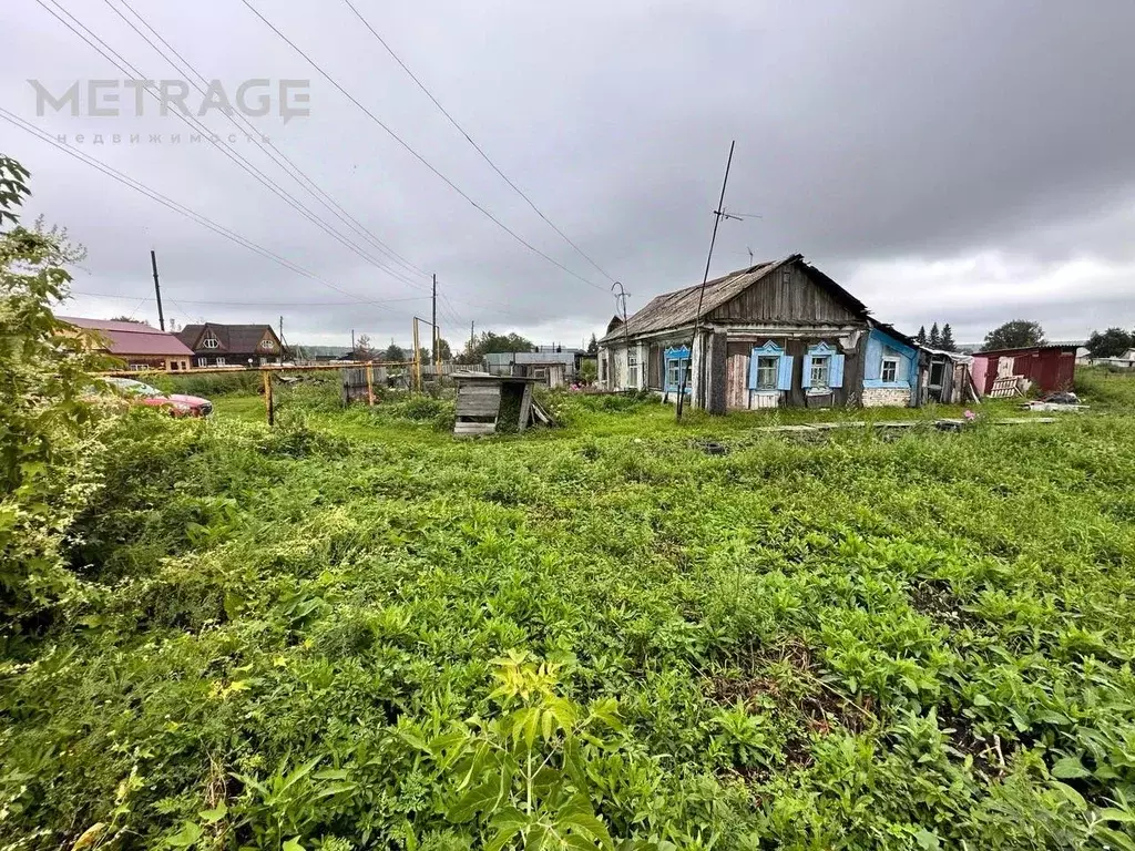 Участок в Новосибирская область, Новосибирский район, с. Плотниково ... - Фото 1