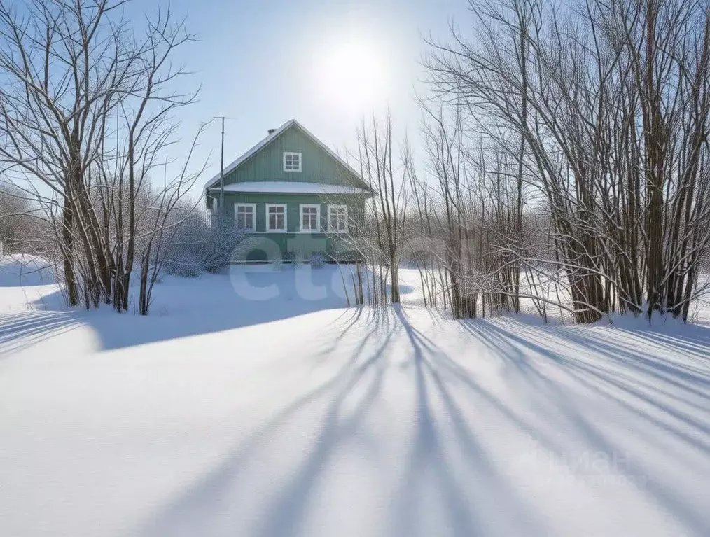 Дом в Новгородская область, Любытинский район, Неболчское с/пос, д. ... - Фото 1