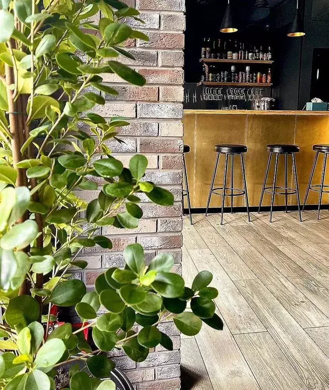 Помещение свободного назначения в Московская область, Домодедово ... - Фото 2