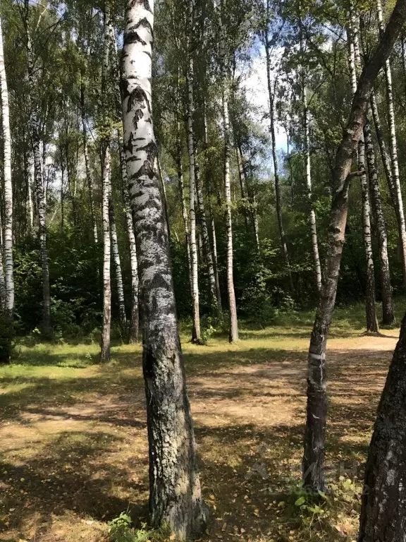 Дом в Московская область, Чехов городской округ, Березка СНТ 123 (45 ... - Фото 1