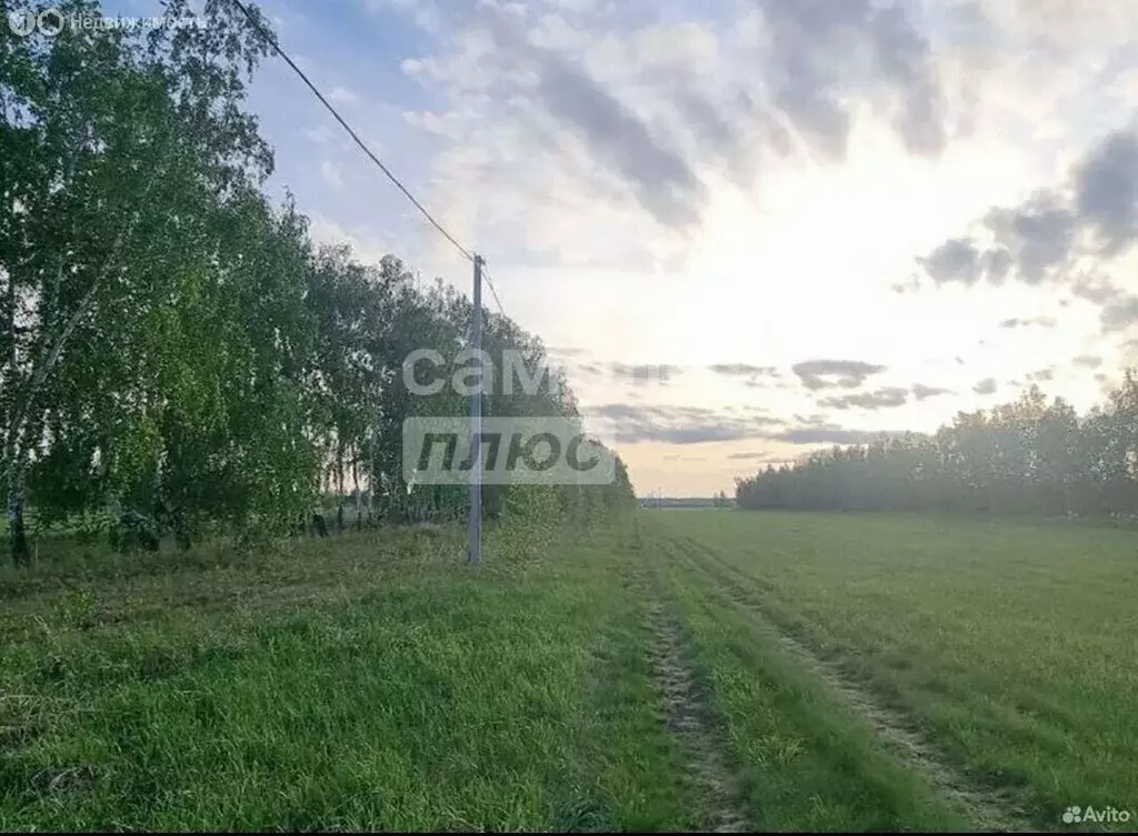 Участок в муниципальный округ Омский район, село Красная Горка (10 м) - Фото 1