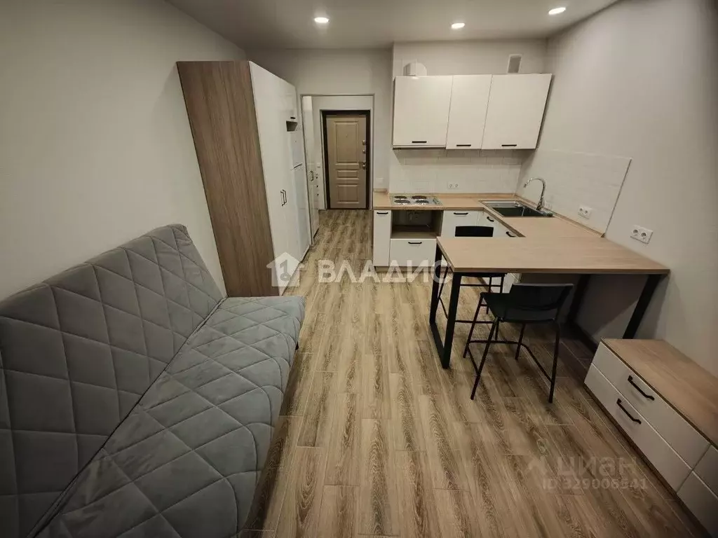 Студия Владимирская область, Владимир ул. Горького, 133А (25.0 м) - Фото 1