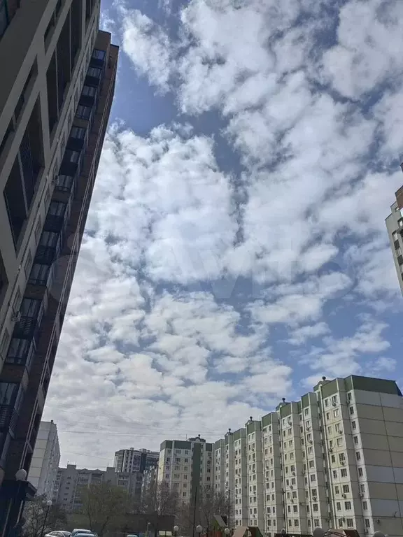 Свободного назначения, 37.9 м - Фото 1