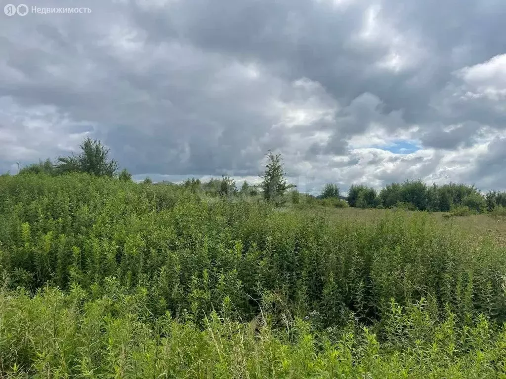 Участок в Холмогоровка, Офицерская улица (6.75 м) - Фото 1